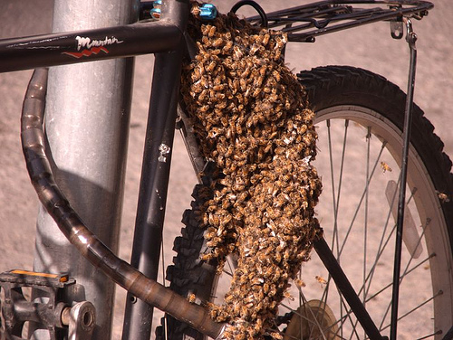 So, erstklassige Diebstahlsicherung.Bionisch, genetische versaute , Roboter Bienen. Die nur den Bike Besitzer leben lassen.